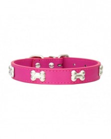 XS size-Rose Red-Pet Dog...