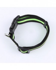 2.0cm width-Green-Nylon Pet...