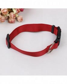 L size-Red-Nylon Dog Collar...