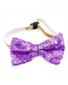 Purple-Fashion Sequin Pet...