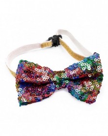 Multicolor-Cats Collar...