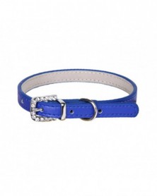 XS size-Dark Blue-Pet...