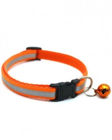 Orange-Pet Collar...