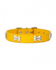 XS size-Gold-Pet Dog Collar...