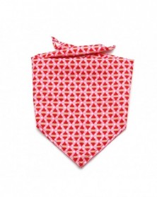 Rose Red-Fun Pet Bandana...