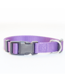 S size-Purple-Dog Collar...