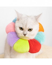 L size-Rainbow-Cat...