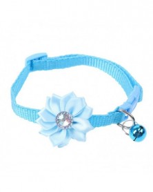 A sky blue-Small Pet Collar...