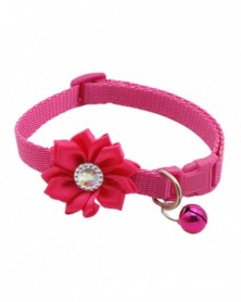 Rose red-Pretty Dogs Collar...