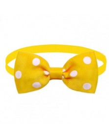 Yellow-Cats Collar...