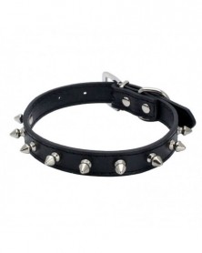 M size-Black-PU Rivet Pet...