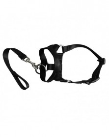 XL size-Black-Nylon Dogs...