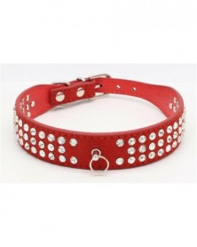 XS size-1-Dog Collar PU...