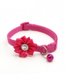 A rose red-Small Pet Collar...