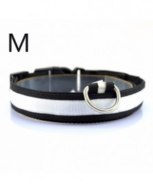 White M-Nylon Dog Collars...