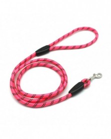 Rose Red-Lovely Dog Strap...