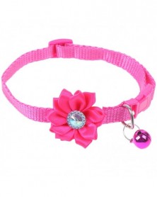 Rose Red-Cute Dog Collar...