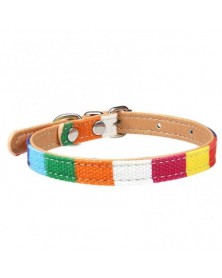 6-Pet Collar Colored...