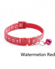 Watermelon Red-Colorul Dog...