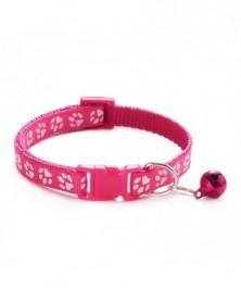 5-Fashion Pets Dog Collar...