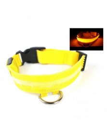 XS size-Y-Pet Dog Collar...