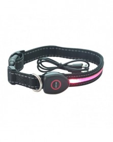 S size-JL1553P-LED USB Dogs...