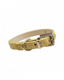 M-Golden-Dog Collar...