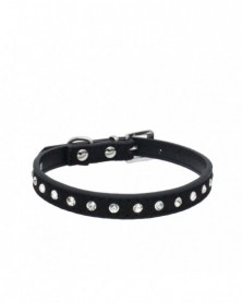 Black-1PCs Small Dog Collar...