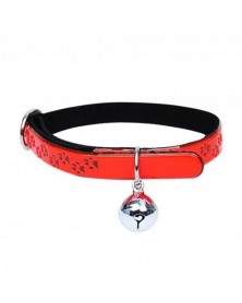 Orange-Pet Collar...