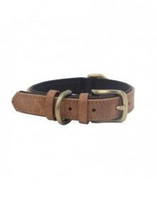 XS size-C-Pet Dog Collar...