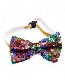 Colorful-Fashion Sequin Pet...