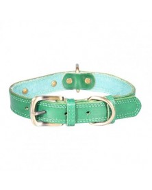 XS size-Green-Pet Collar...