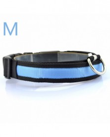 Blue M-Nylon Dog Collars...