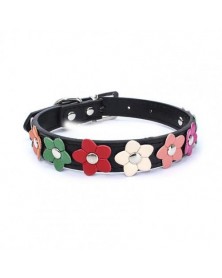 XS size-Black-Pet Collar...