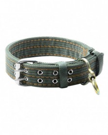 XL-Nylon Webbing Dog Collar...