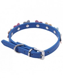 02-Durable Personalized Pet...