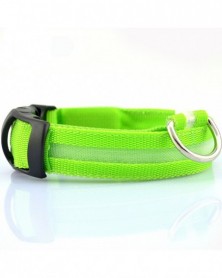 XS size-green-2.5cm Wide...