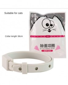 Cats fit 38cm - Cats and...