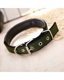 A1 - Solid Dog Collars...