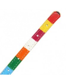 3 - Pet Collar Colored...