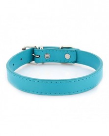 1.2x33cm-Cyan - Dog Collars...