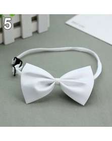 White - Cute Dog Collar...