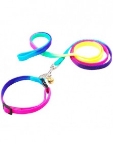 Colored pet leash dog chain...