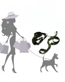 Dog Leash Travel Training...