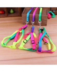 120cm Colorful Rainbow Pet...