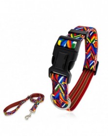 Nylon Dog Collar Belt Set...