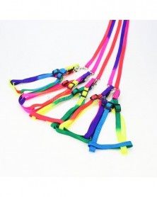 Adjustable Colorful Color...