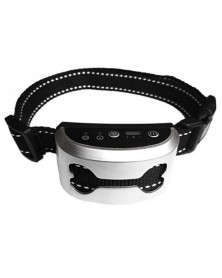 Silver - Dog Collar...