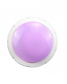 Purple - Pet Recordable...