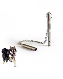 Pet dog flute training dog...